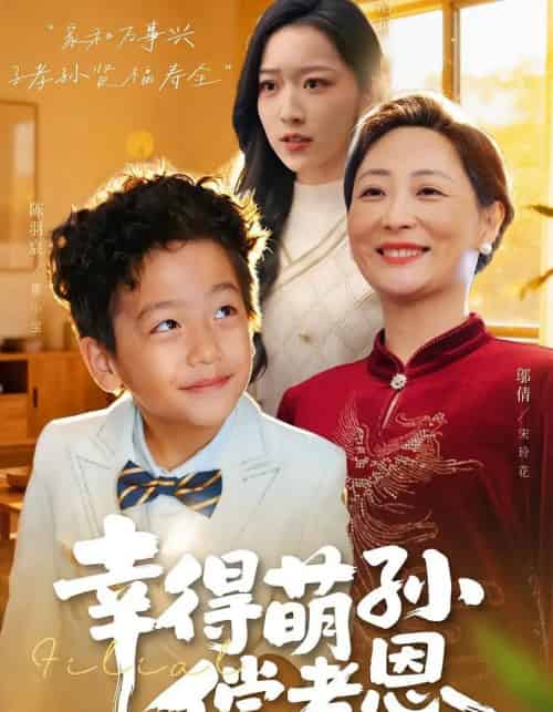 幸得萌孙偿孝恩（56集全）邬倩＆陈羽宸-搜外项目网