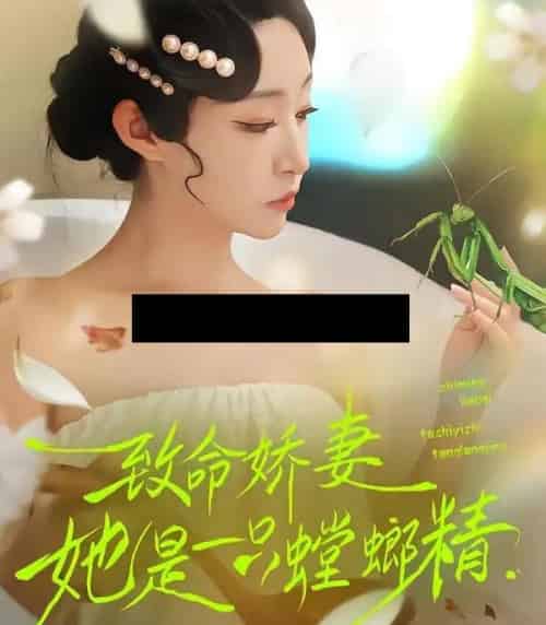 致命娇妻：她是一只螳螂精（51集全）弓佩瑶＆谭鑫-搜外项目网