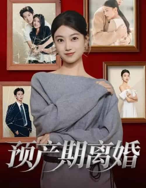 预产期离婚(72集全)陈奕汐&项泰诚-搜外项目网