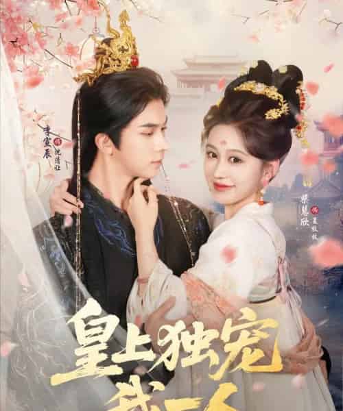 皇上独宠我一人（74集）李宣辰＆柴慧欣-搜外项目网