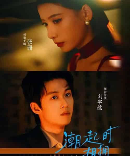 潮起时相拥（73集全）刘宇航＆张珊-搜外项目网
