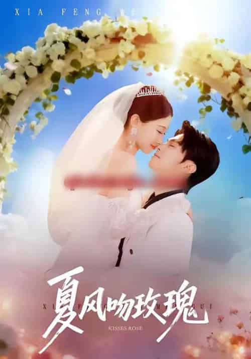 夏风吻玫瑰（80集全）牛博宇＆李安娜-搜外项目网