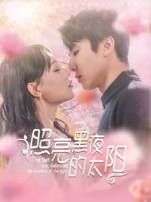 照亮黑夜的太阳（80集全）刘一隆＆张贻乔-搜外项目网