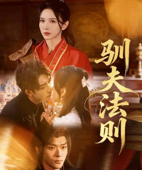 驯夫法则（69集全）曹天睿（曹皓添）＆高明君-搜外项目网