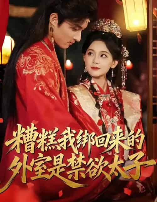 糟糕我绑回来的外室是禁欲太子（90集全）邱嘉棋＆薛景元-搜外项目网