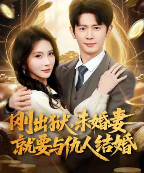 刚出狱，未婚妻就要与仇人结婚（80集全）王昭＆肖茜文-搜外项目网