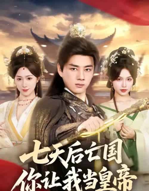 七天后亡国，你让我当皇帝（62集全）李进源＆刘霖诺-搜外项目网