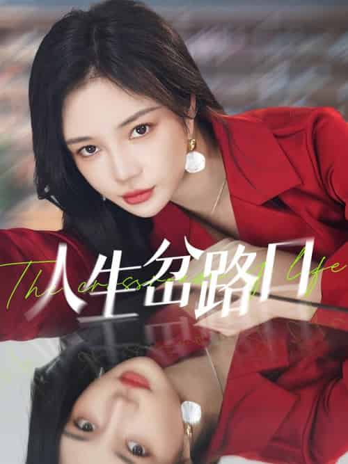 人生岔路口(30集全)田熙雯&刘博洋-搜外项目网