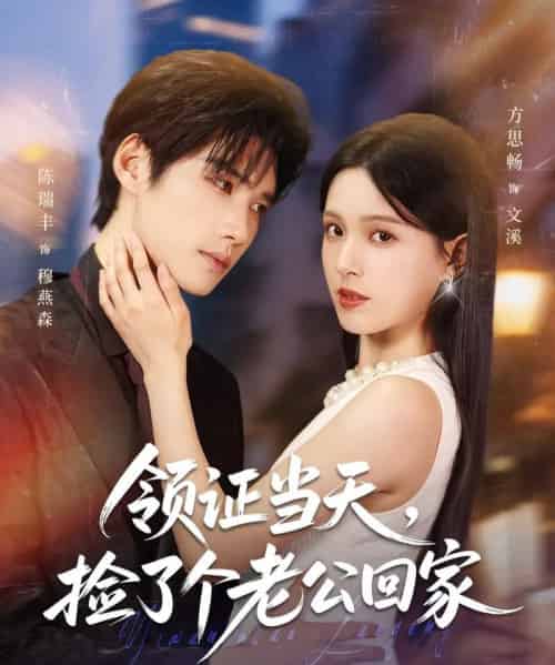 领证当天捡了个老公回家（81集）陈瑞丰＆方思畅-搜外项目网