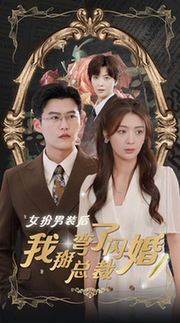 女扮男装后我掰弯了闪婚总裁（80集全）钟熙-搜外项目网
