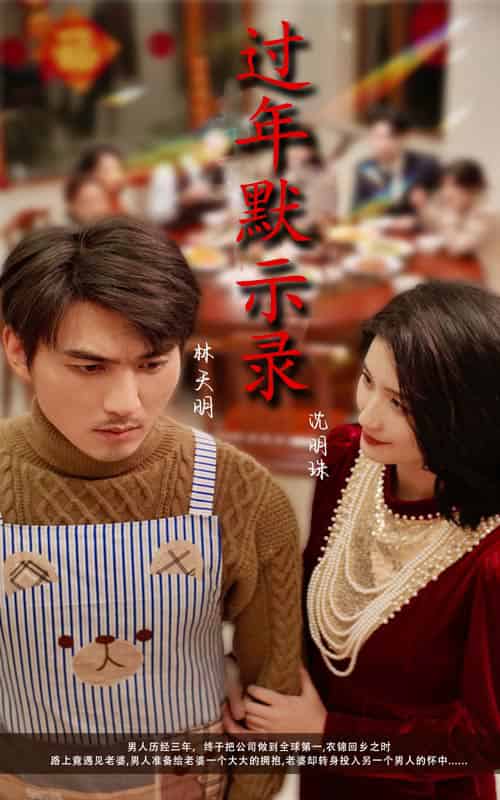 过年默示录（33集全）周颖-搜外项目网