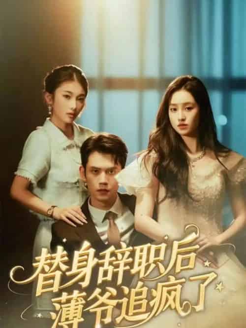 替身辞职后薄爷追疯了（60集全）徐浩楠＆姚熠璠-搜外项目网