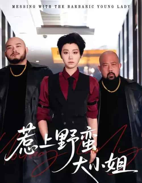 惹上野蛮大小姐（100集全）林千仟＆沈柏岩-搜外项目网