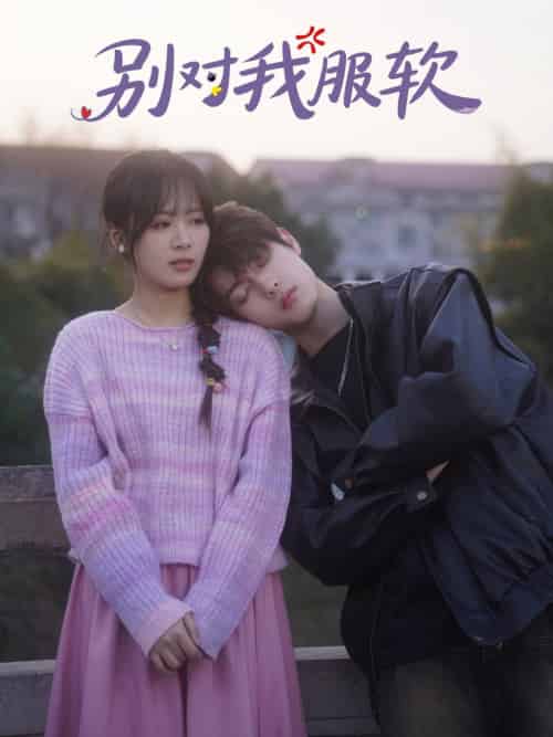 别对我服软（73集全）贺宇＆包颜萁-搜外项目网