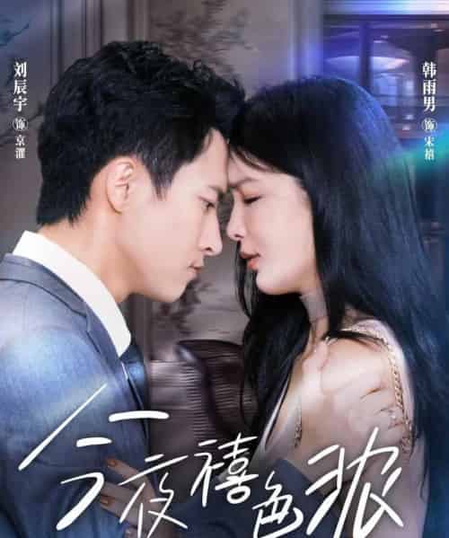 今夜禧色浓(80集全)刘辰宇&韩雨男-搜外项目网
