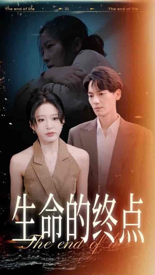 生命的终点（35集全）宋喃 林十八-搜外项目网