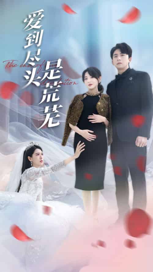 爱到尽头是荒芜（30集）胡家荣＆姜云宁-搜外项目网