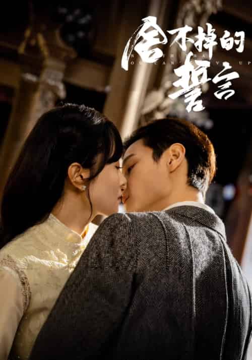 舍不掉的誓言(29集)宋美萱&区天瑞&王兰花&韩叙-搜外项目网