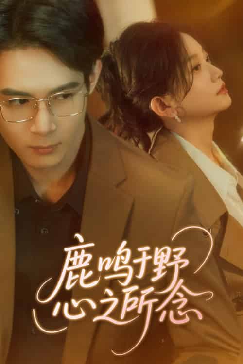 鹿鸣于野心之所念（52集）吴思腾＆张纶贞-搜外项目网