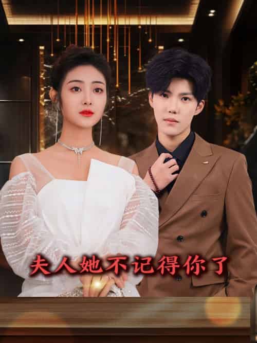 夫人她不记得你了（81集）浅柔＆杨泽琳-搜外项目网