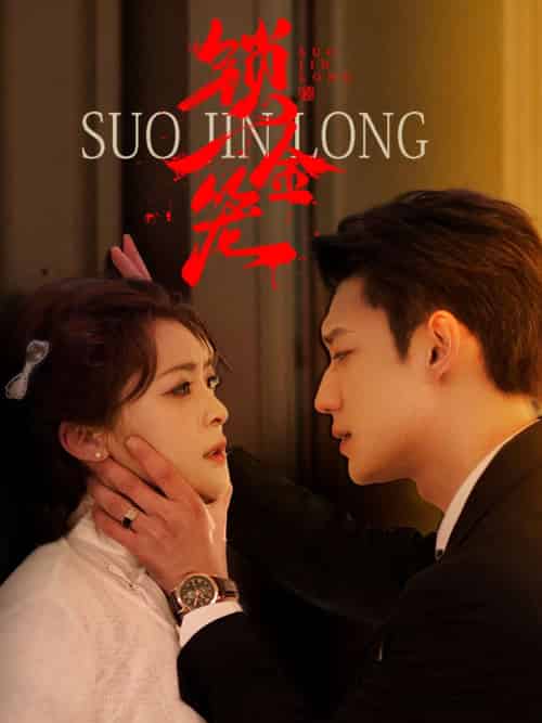锁金笼（60集）钟熙＆鹿单东-搜外项目网