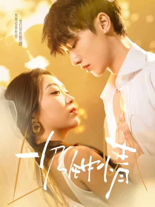 一见钟情（78集）陈辞＆王丙生-搜外项目网