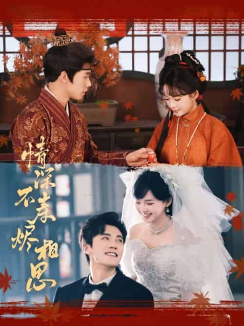 情深不寿烬相思(60集)蔡欣洋&莉莉崽-搜外项目网