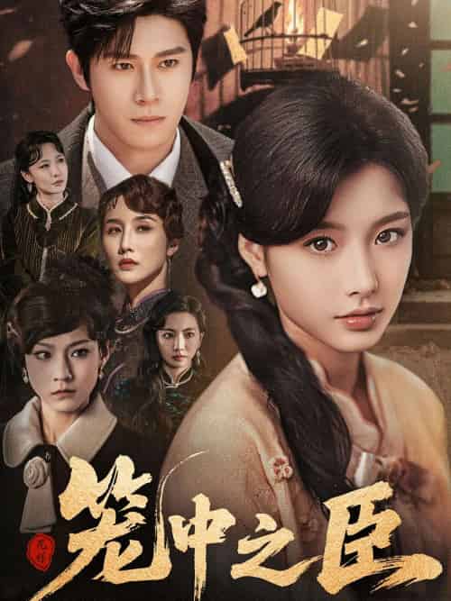 笼中之臣（67集）杨宇斌＆谭雯文-搜外项目网