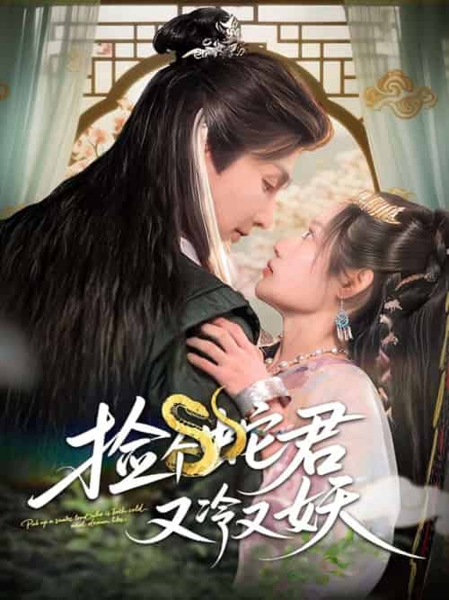 捡个蛇君又冷又妖（66集）林潇＆刘倩彤-搜外项目网