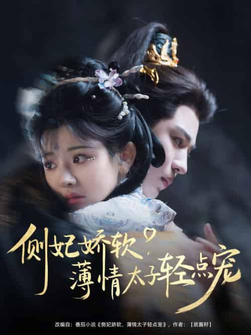 侧妃娇软薄情太子轻点宠（80集）廖慧敏＆蒙恩-搜外项目网