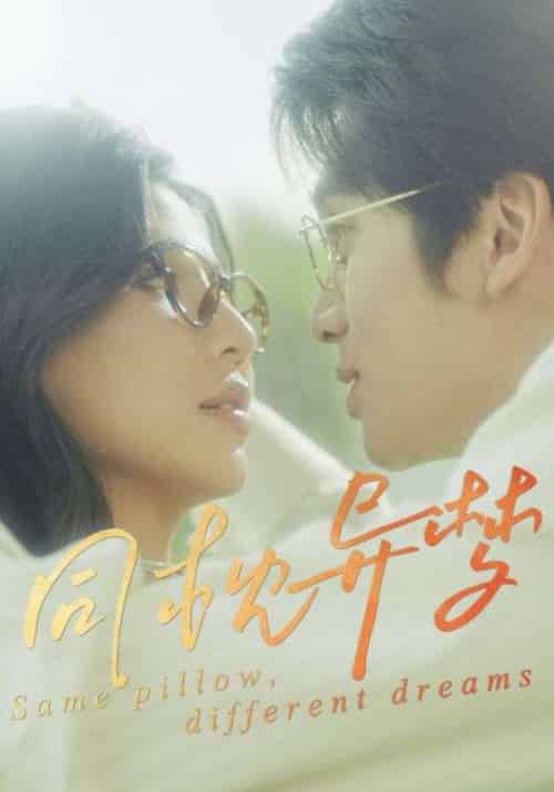 同枕异梦（50集）李思杨＆田诗园-搜外项目网