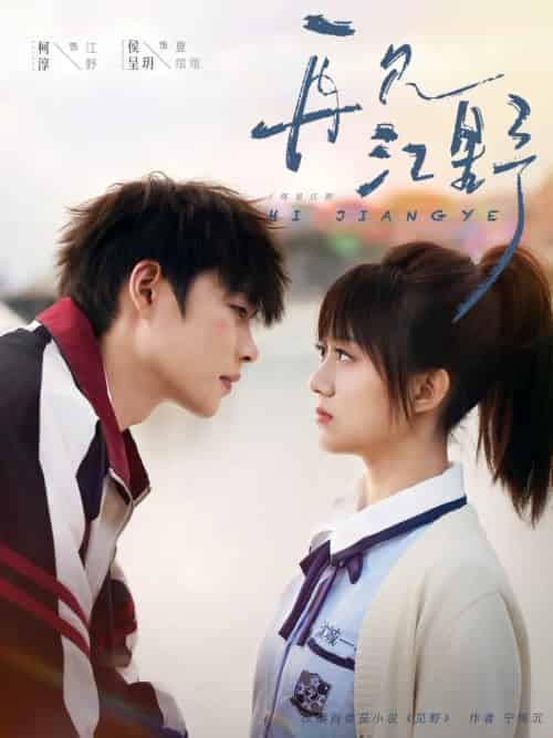 再见江野（80集全）柯淳＆侯呈玥-搜外项目网