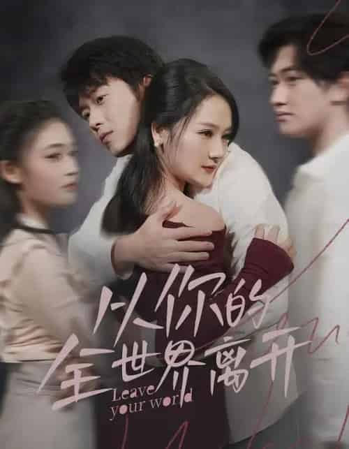 从你的全世界离开(71集全)王知煜&刘洋珂-搜外项目网