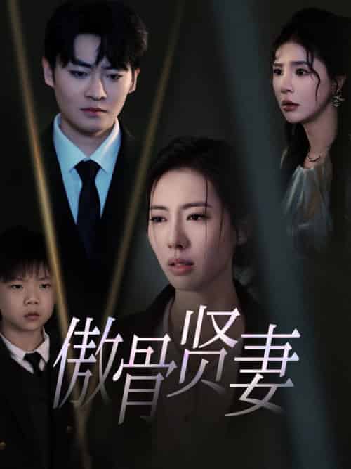 傲骨贤妻(52集全)-搜外项目网