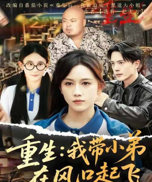 重生我带小弟在风口起飞(77集)史宣洪&黄则灵&刘雨蒙-搜外项目网