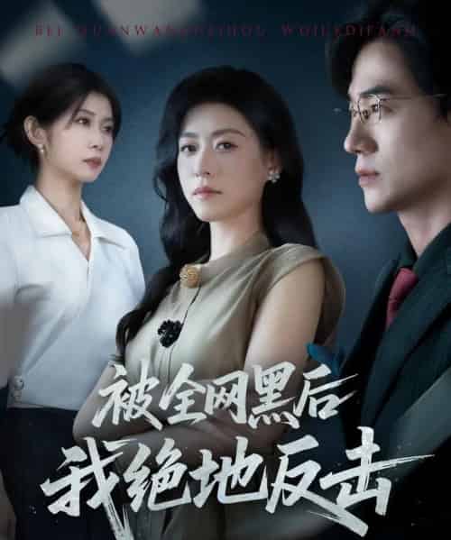 被全网黑后我绝地反击(62集全)孙茂峰&诸玲颖-搜外项目网