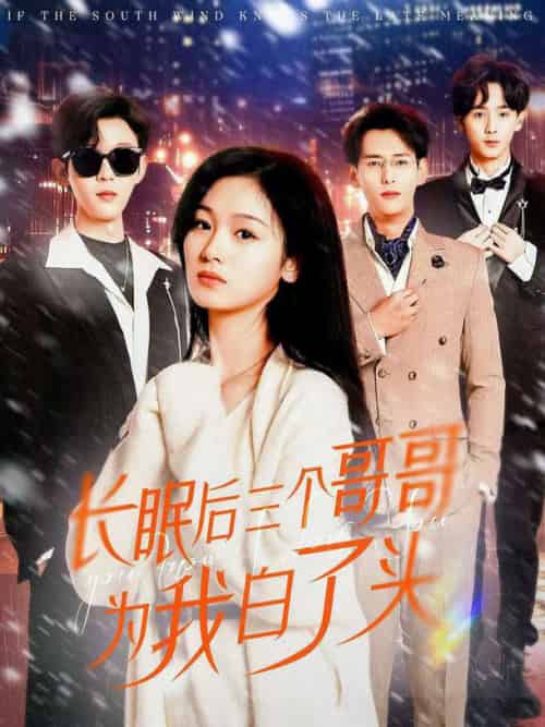 长眠后三个哥哥为我白了头（33集全）田苗苗-搜外项目网