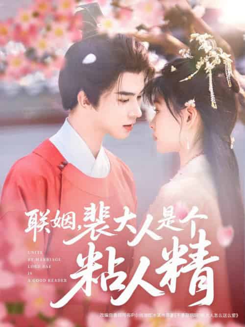 联姻，裴大人是个粘人精（97集全）李宣辰＆杨帆-搜外项目网
