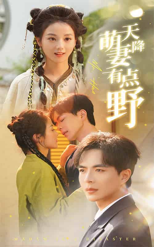 天降萌妻有点野(60集全)温宇&马倩倩-搜外项目网