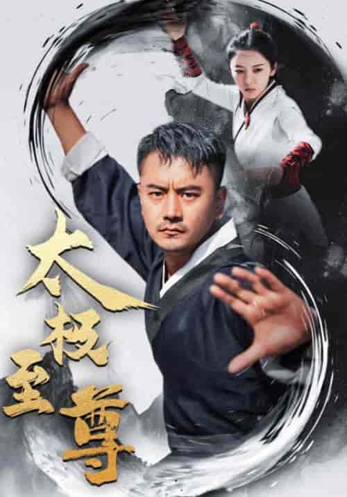 太极至尊(53集全)萧尘&萧凡-搜外项目网