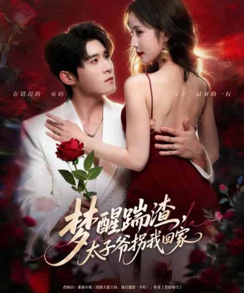梦醒踹渣,太子爷拐我回家(80集全)黄云云&杨宇斌-搜外项目网