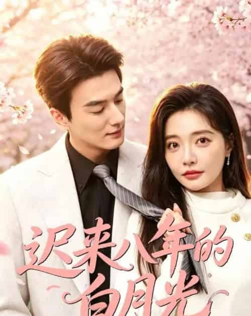 迟来八年的白月光(60集全)张策&李欣怡-搜外项目网