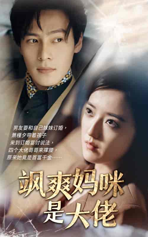 飒爽妈咪是大佬（69集）刘宇航-搜外项目网