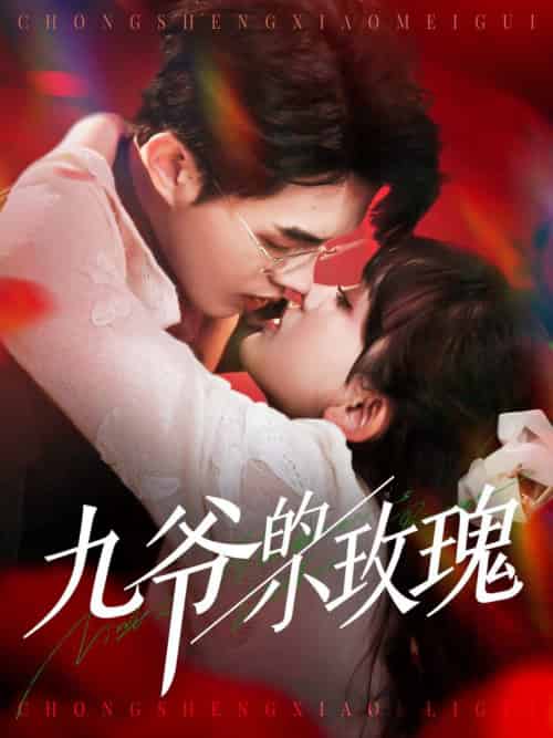 九爷的小玫瑰（125集全）王千硕＆赵财子-搜外项目网