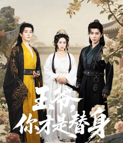王爷你才是替身（60集）权裴伦＆刘昱辰-搜外项目网