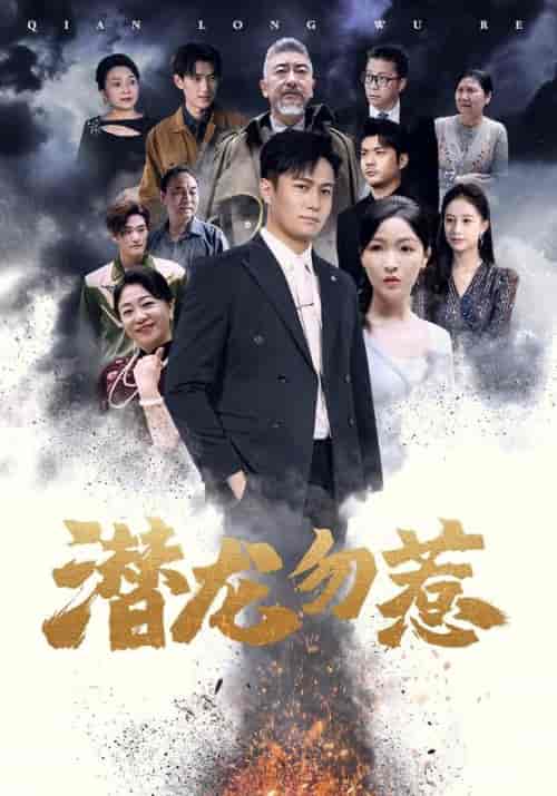 潜龙勿惹(75集)白野-搜外项目网