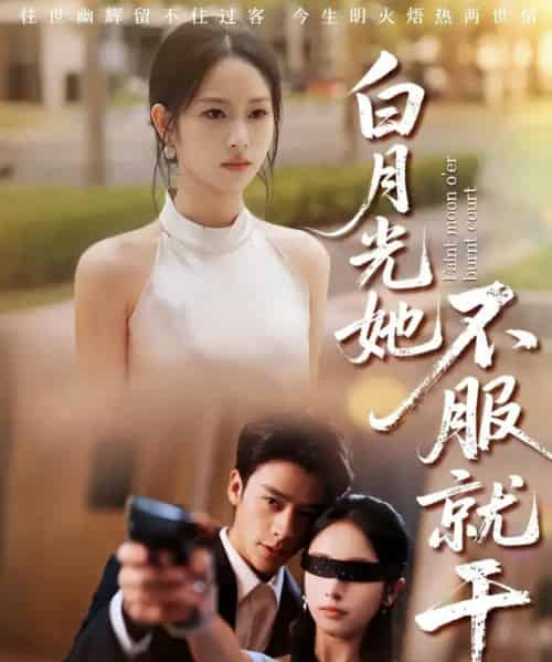 白月光她不服就干＆黑月光的荣耀（66集全）纪俊良＆杨映真-搜外项目网