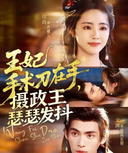 王妃手术刀在手,摄政王瑟瑟发抖(73集全)徐真&文渊-搜外项目网