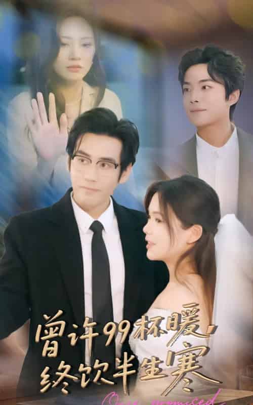 曾许99杯暖，终饮半生寒（63集全）秦毅＆汪思盈-搜外项目网