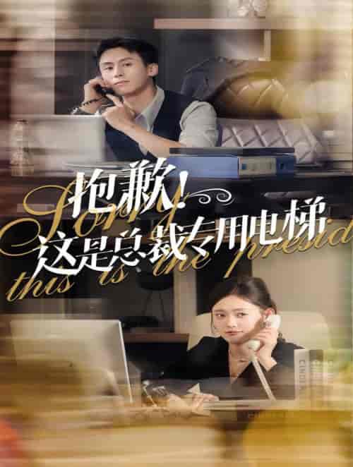 抱歉这是总裁专用电梯（60集全）王寒阳＆四一-搜外项目网